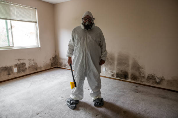 Best Commercial Mold Removal  in Bayonne, NJ