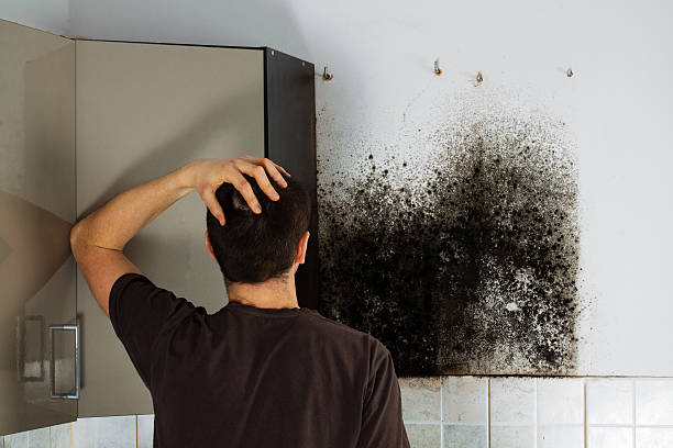 Best Water Damage Restoration  in Bayonne, NJ
